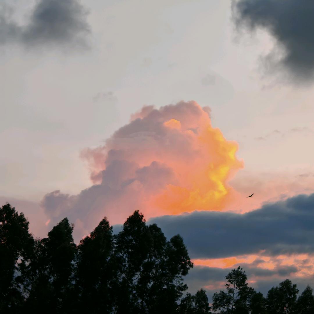 ☁️☁️☁️