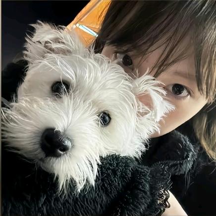 bae(ꐦ°᷄д°᷅)