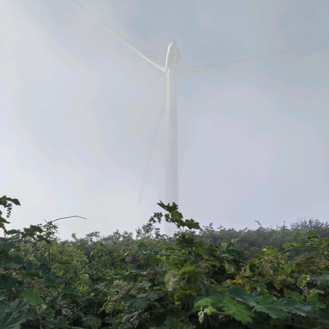 无忧姐，调香师