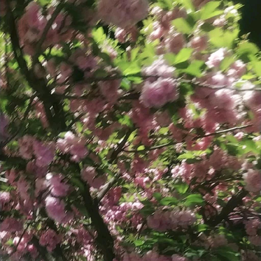 用户6310673480429