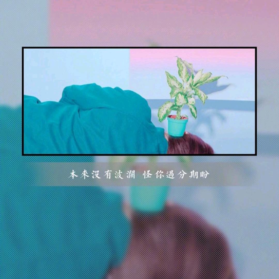 苏妍-铭邵