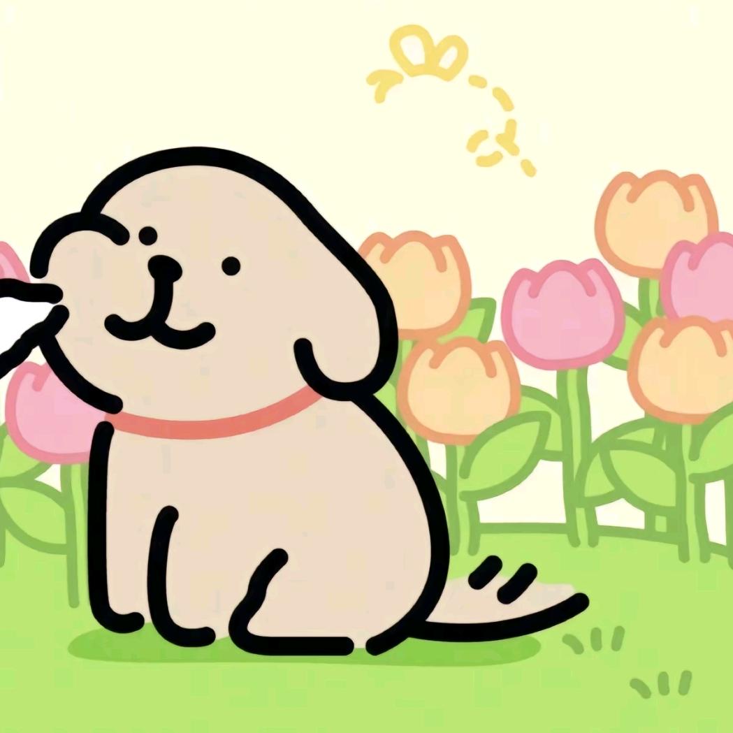 芒果布丁
