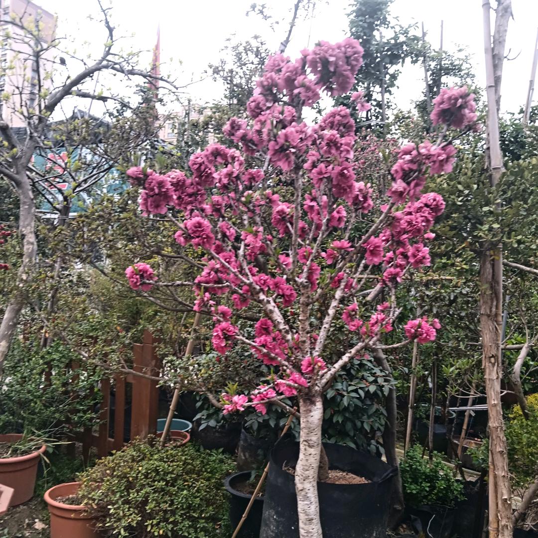 遇见你不后悔。