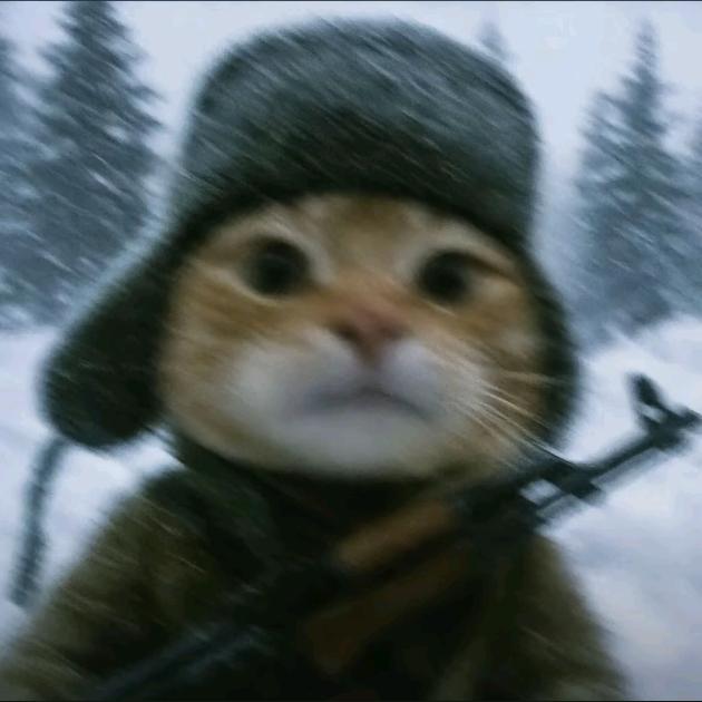 灵炁（解限机）