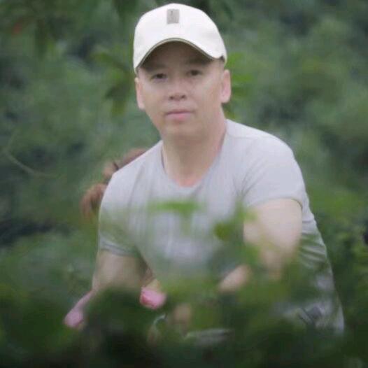 畅游长江