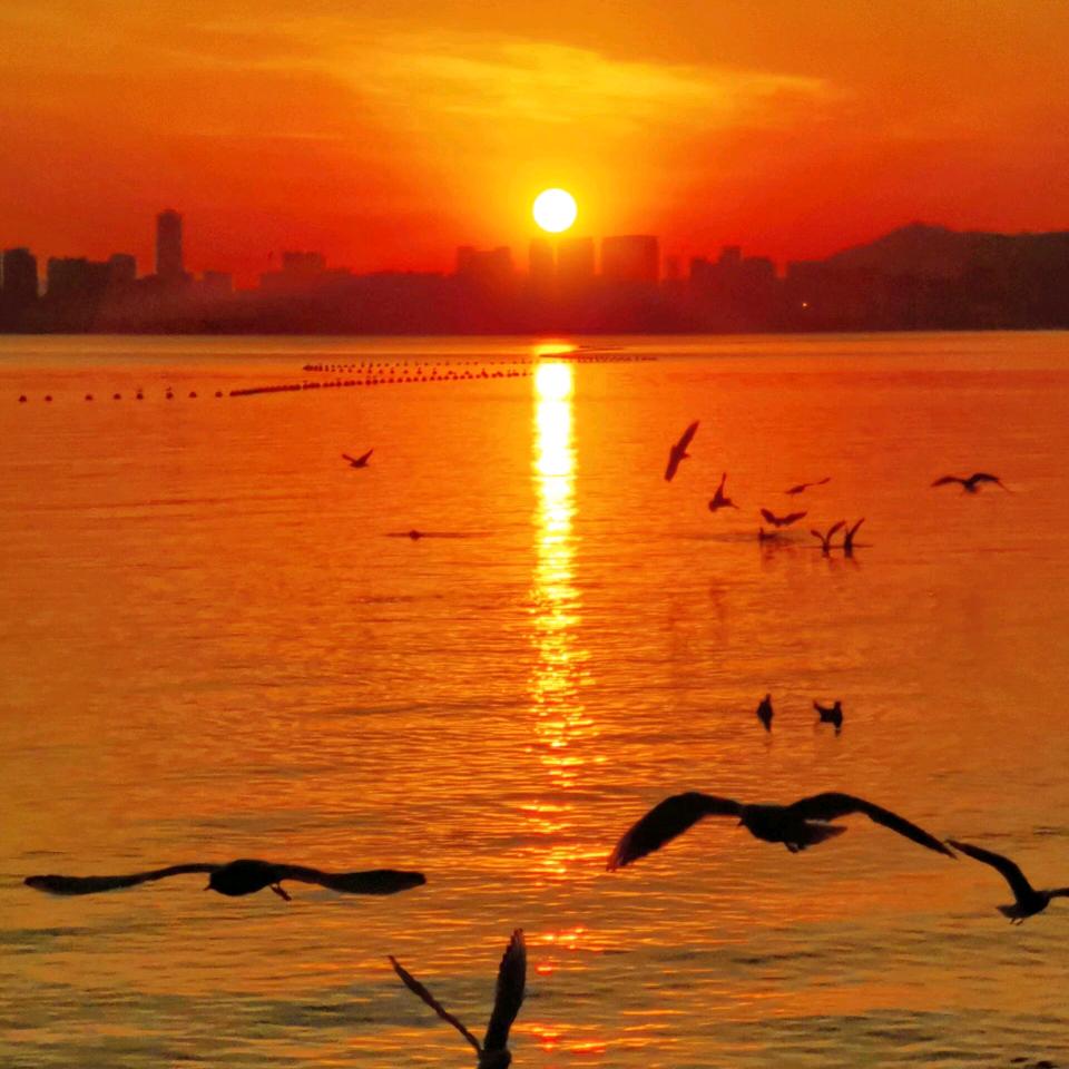 星辰大海