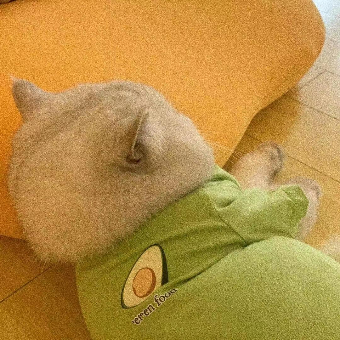 单亲妈妈带俩娃