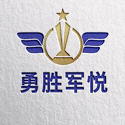 勇胜军悦-王志勇