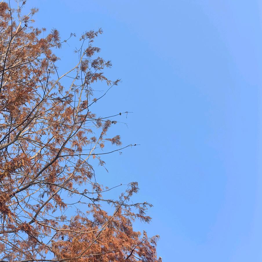 幸运的运@