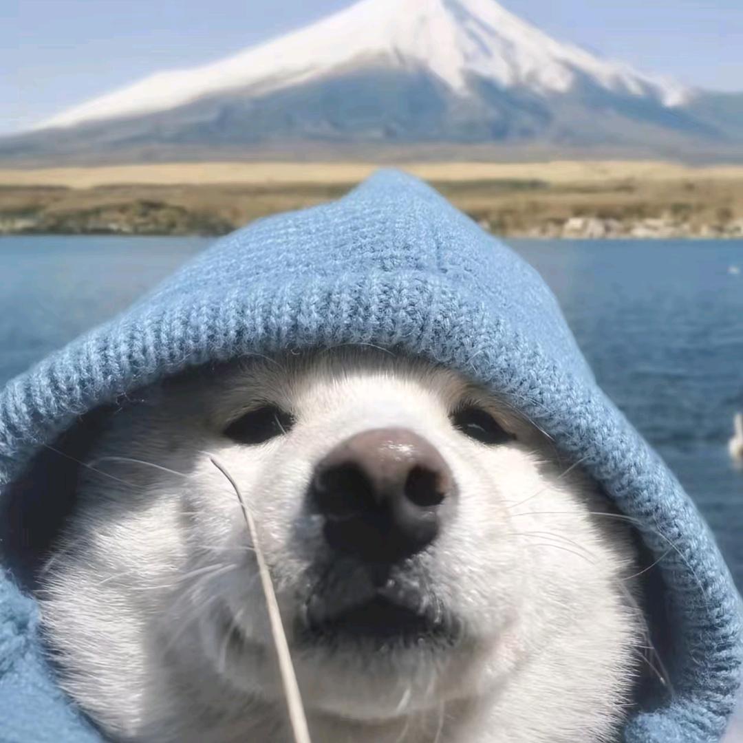 1楼卖辣条的小黑