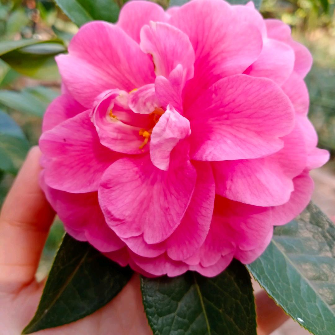 💞✨等你说晚安💕💞
