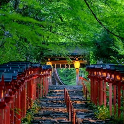 一路生花3