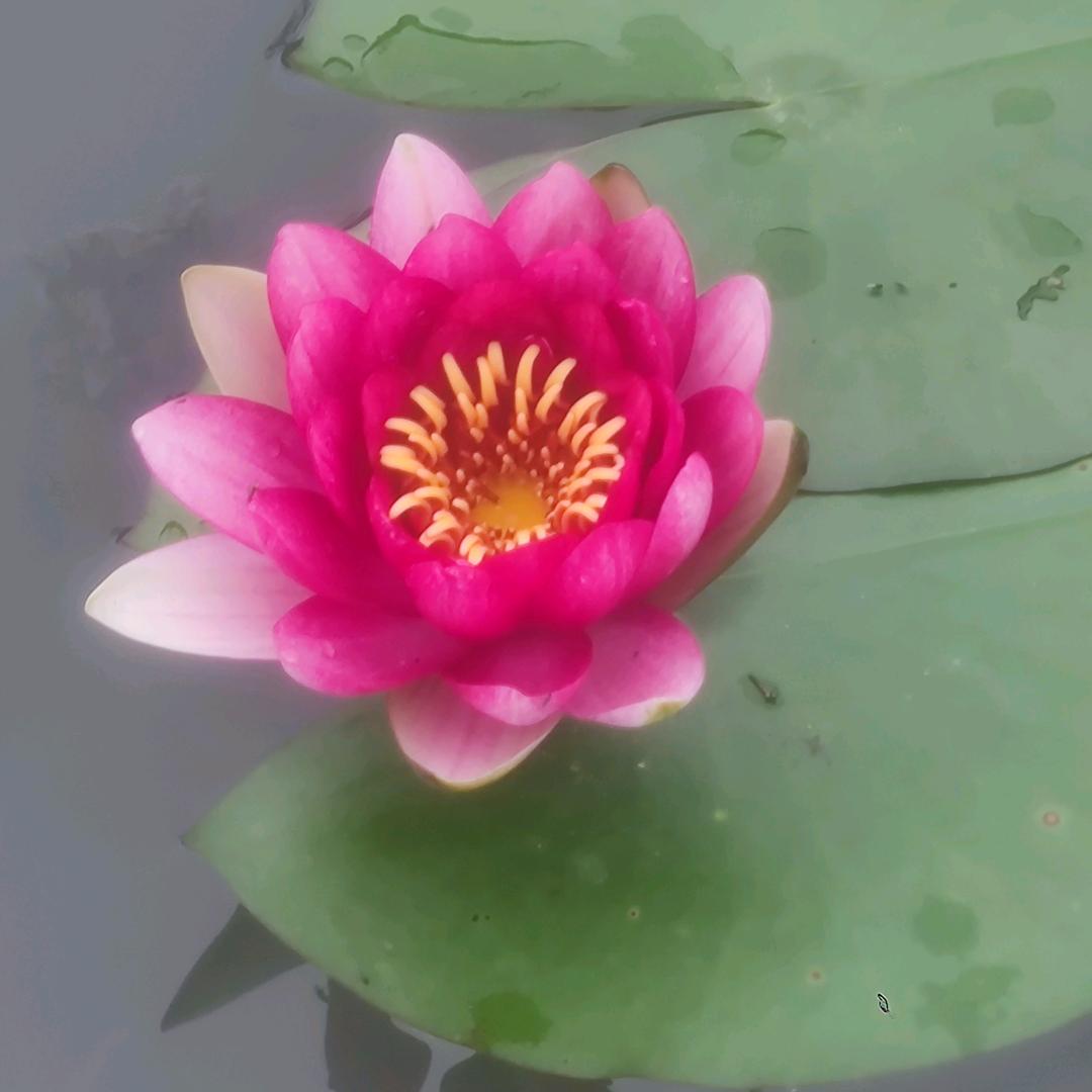 时光记忆