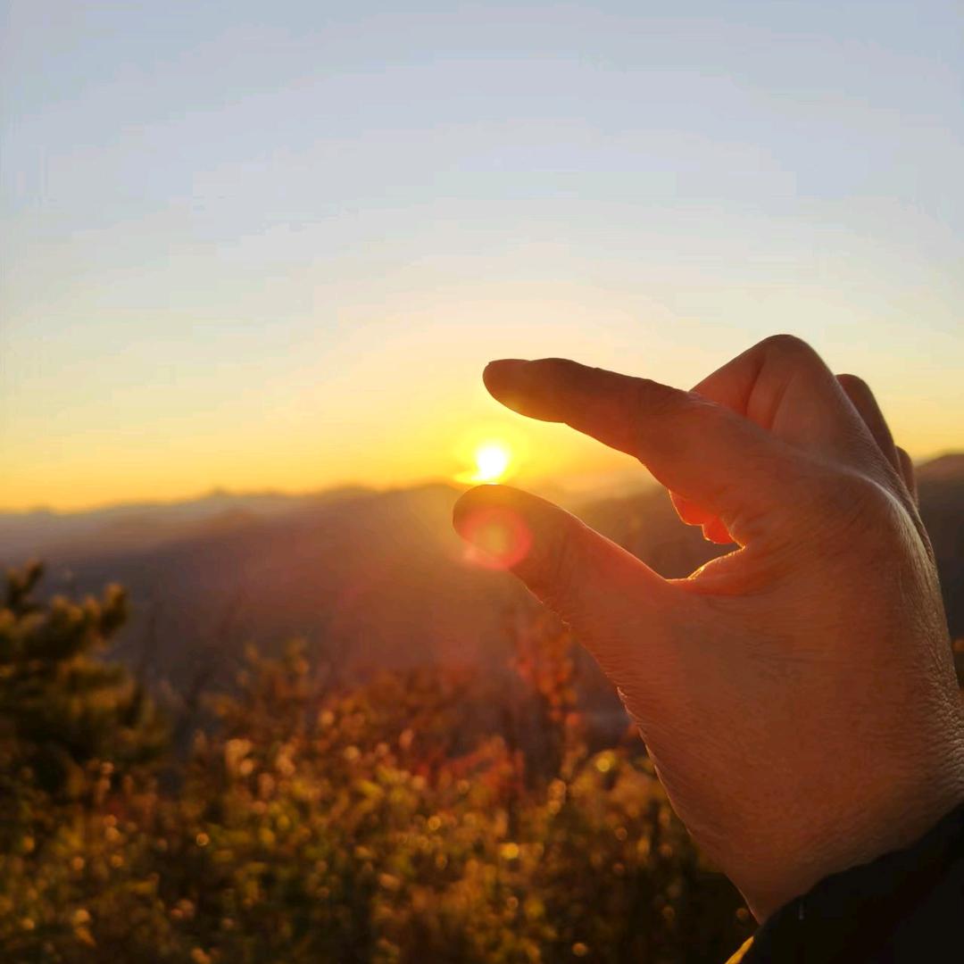 希望zhu