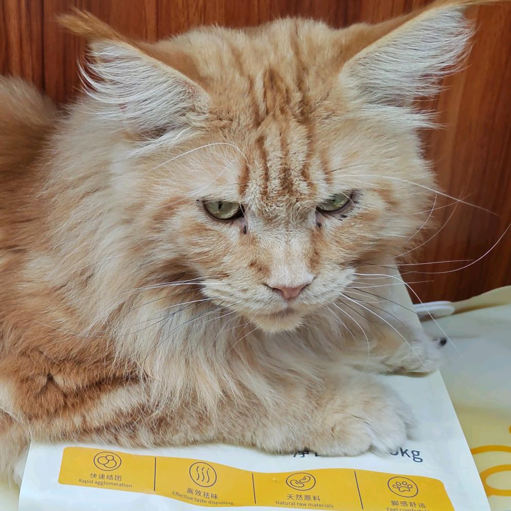 醒醒别睡了成不成_