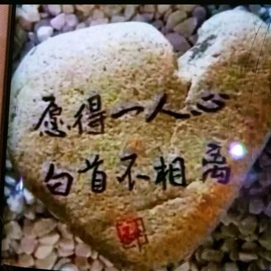 🌹前世🌹今生🌹