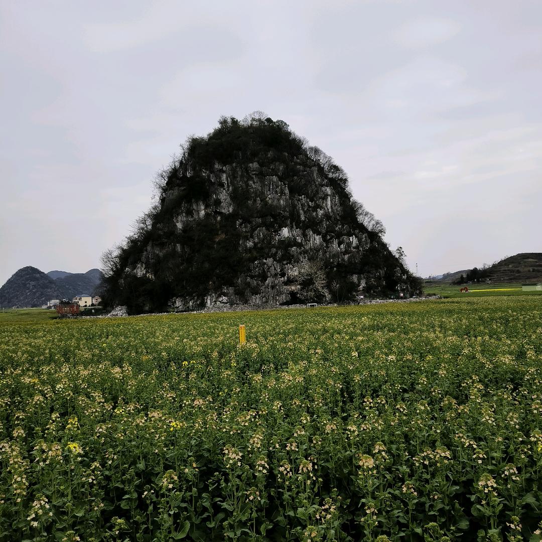 农村幺哥7月31-8月1六周年 直播现场