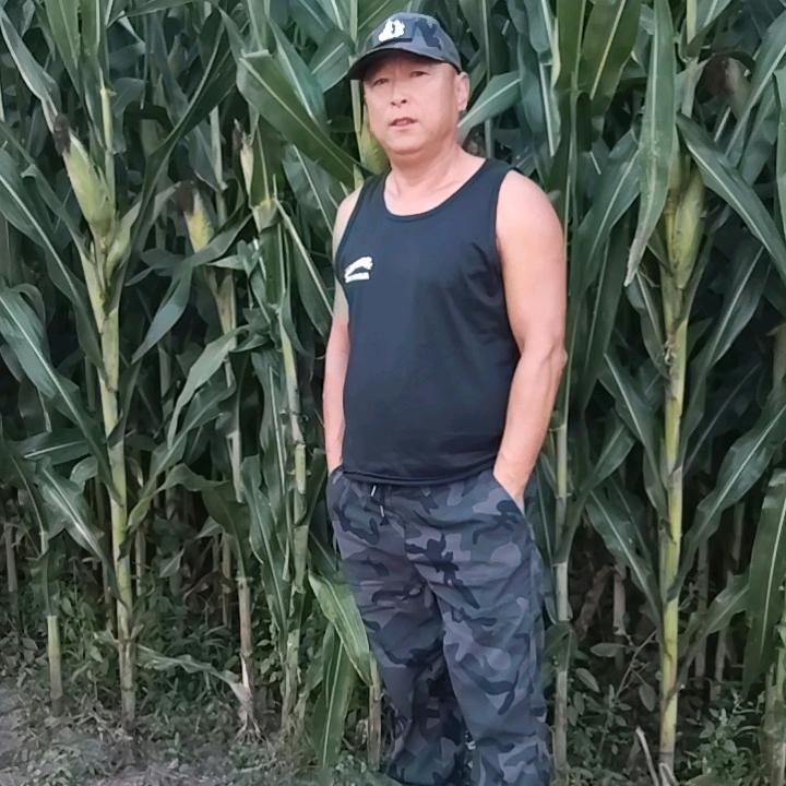 七哥