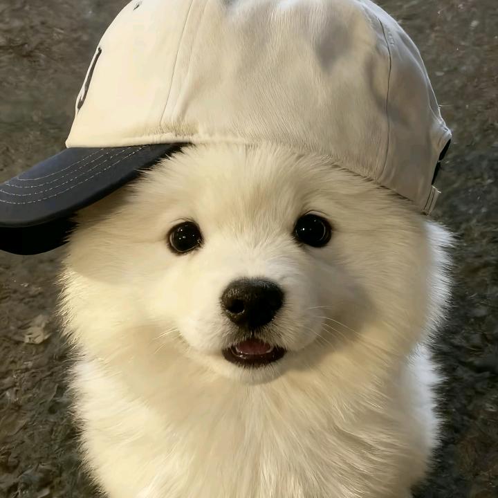 所以说到底有没有休假啊