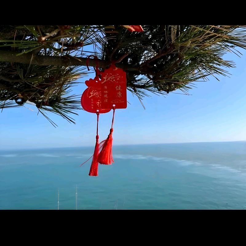 👒为你停刘🤗