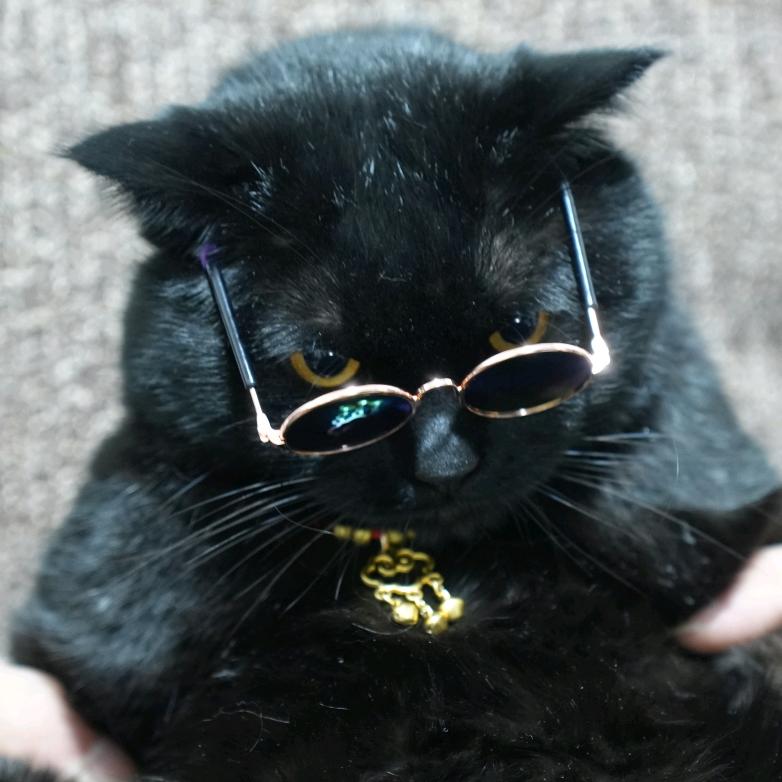黑猫掌柜