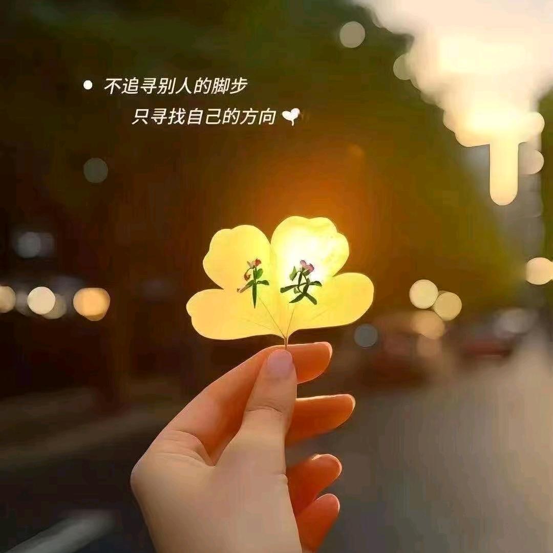 ❤️浅笑安然❤️