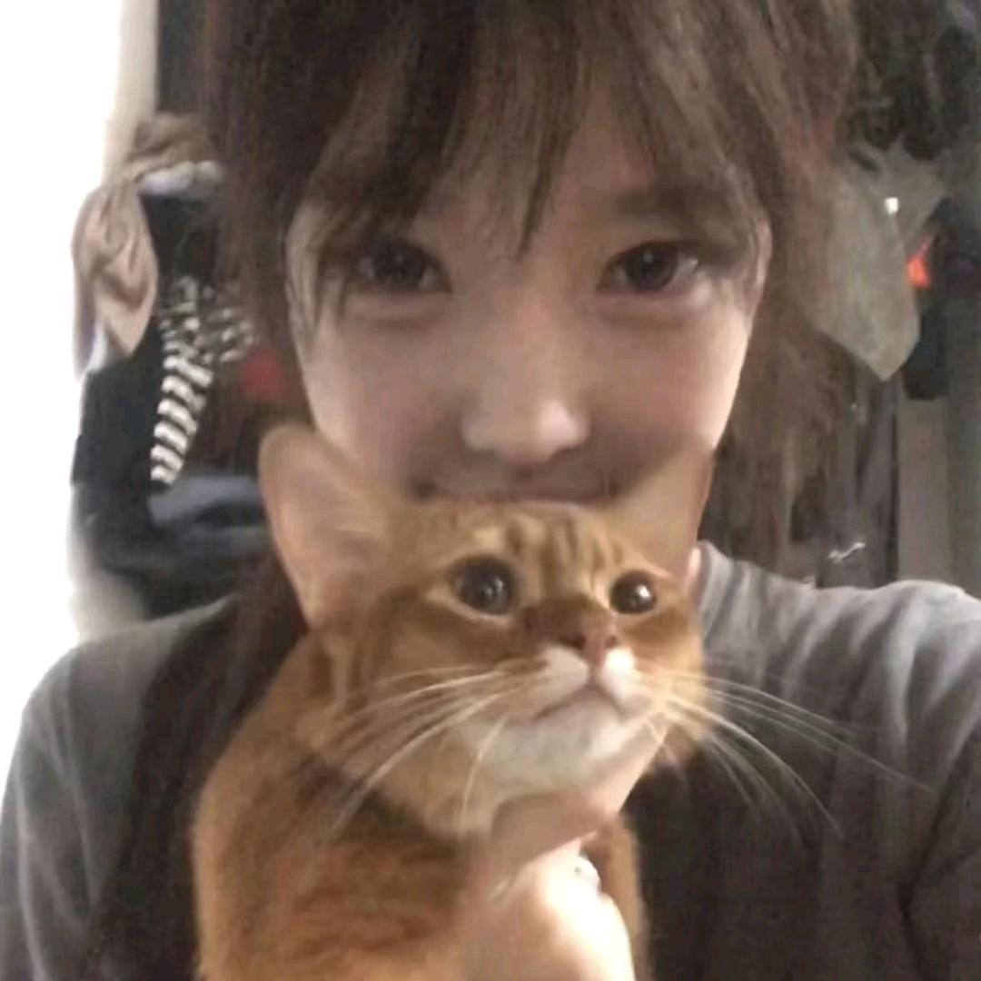番茄炒鱼～