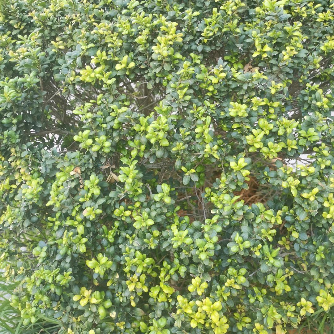 开心快乐每一天