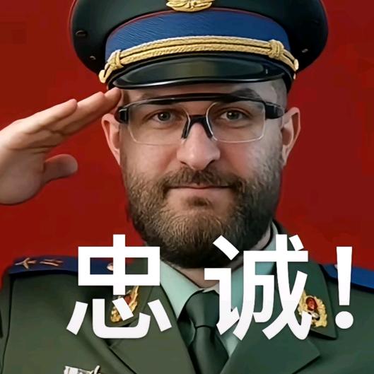 岁月如猫（三角洲行动）