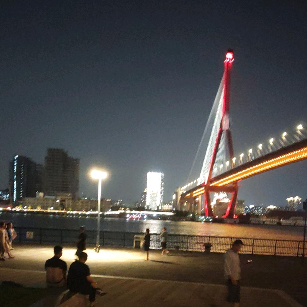 不会游泳的鱼SSAAA