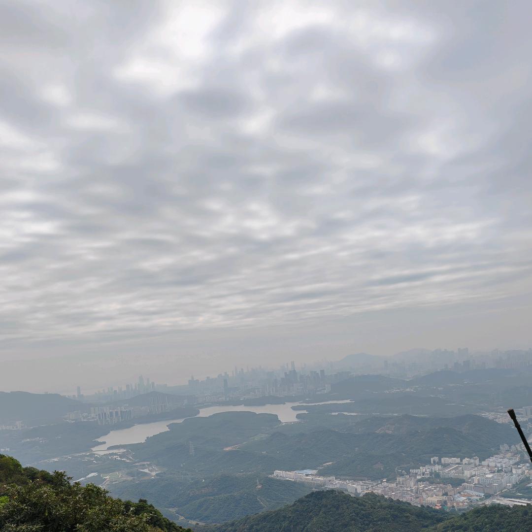 約等於Dr.