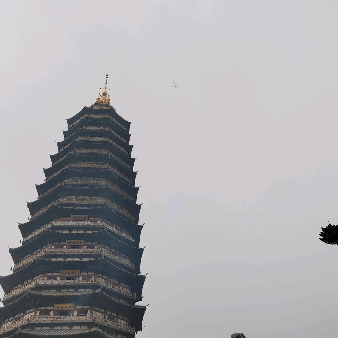 回收旧人生