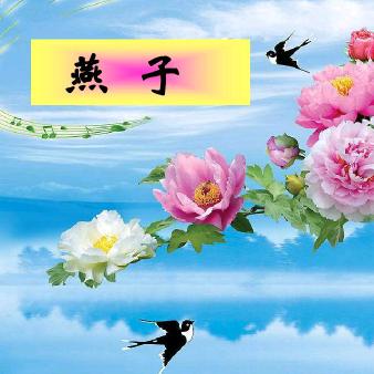 💞燕子归来