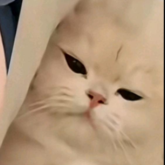贰拾腊