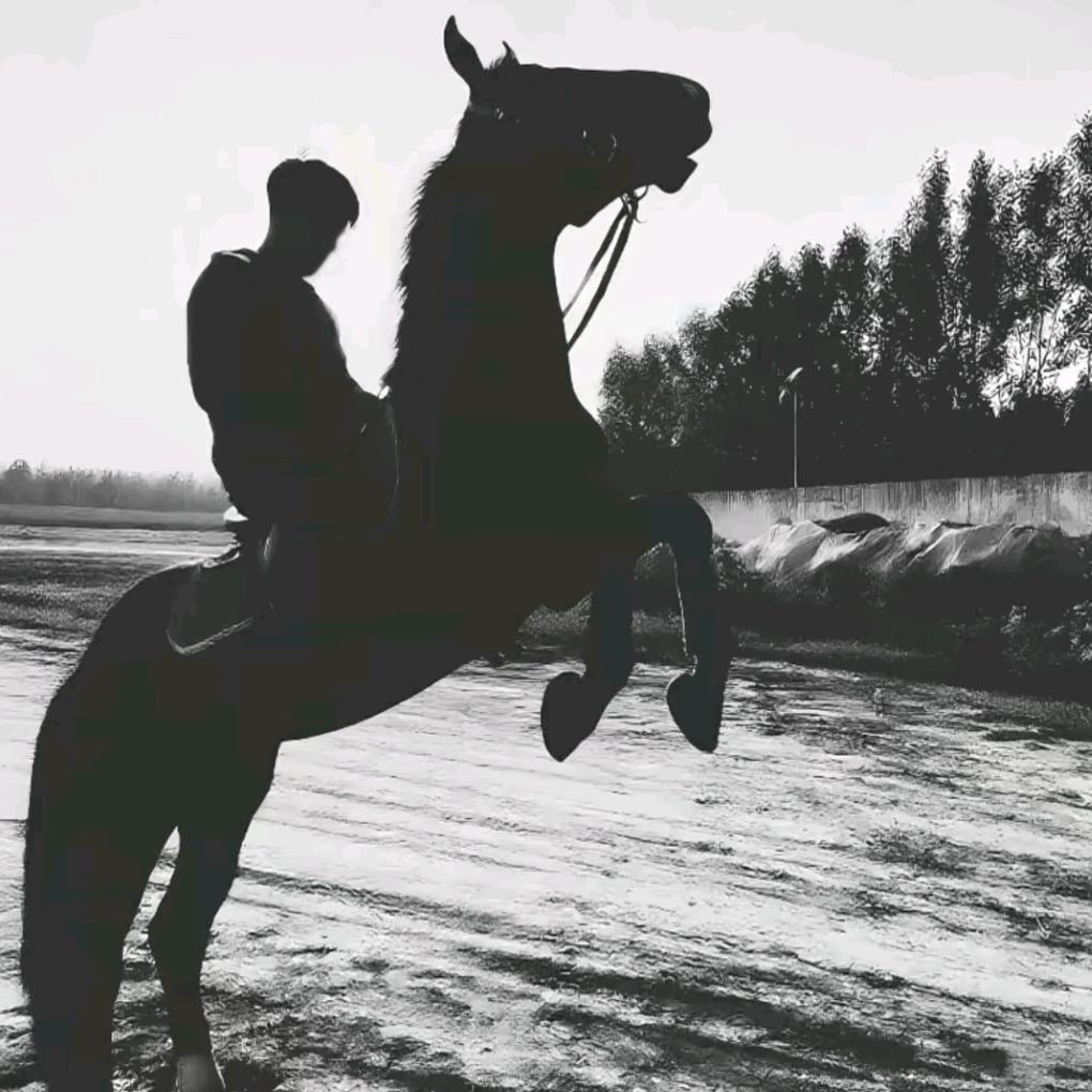 瑞