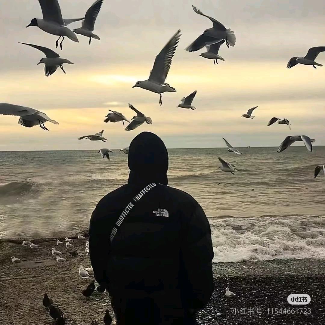 。。。。（