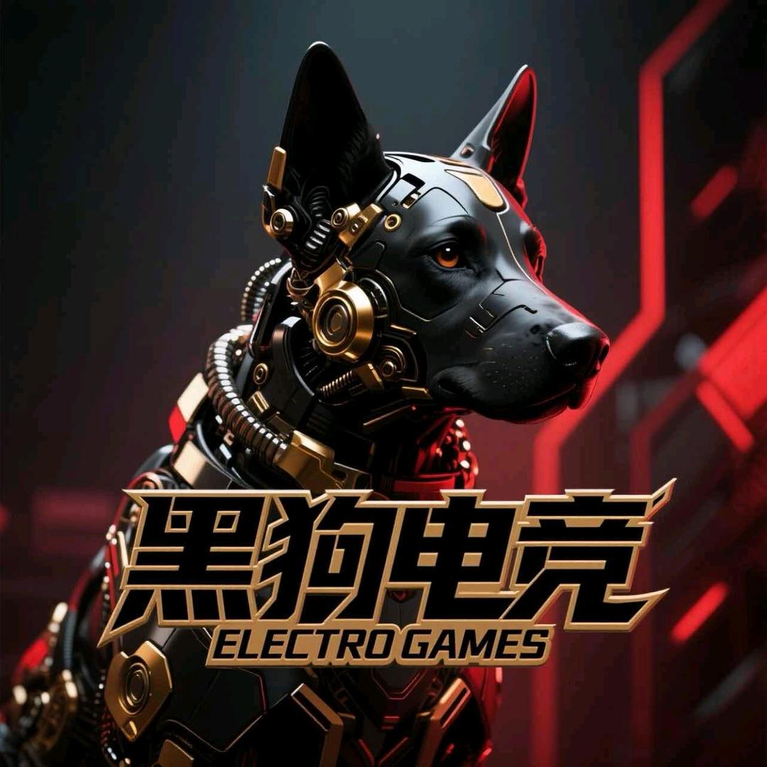 黑狗电竞（三角洲行动）
