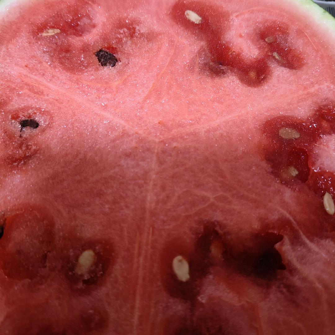 夏天的西瓜（喊我去学习版）