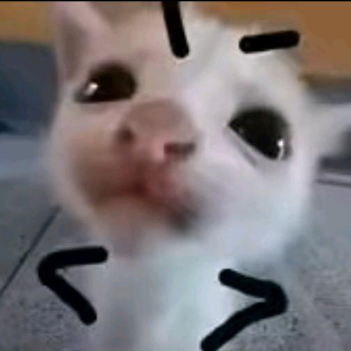 小棉屋头像