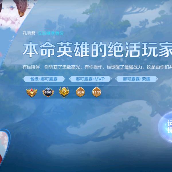 孔毛君-毛毛
