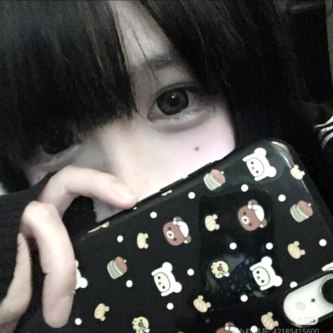 高兴的棕灰色充电线2778