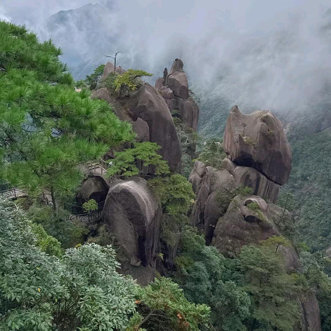小牛哥橱窗