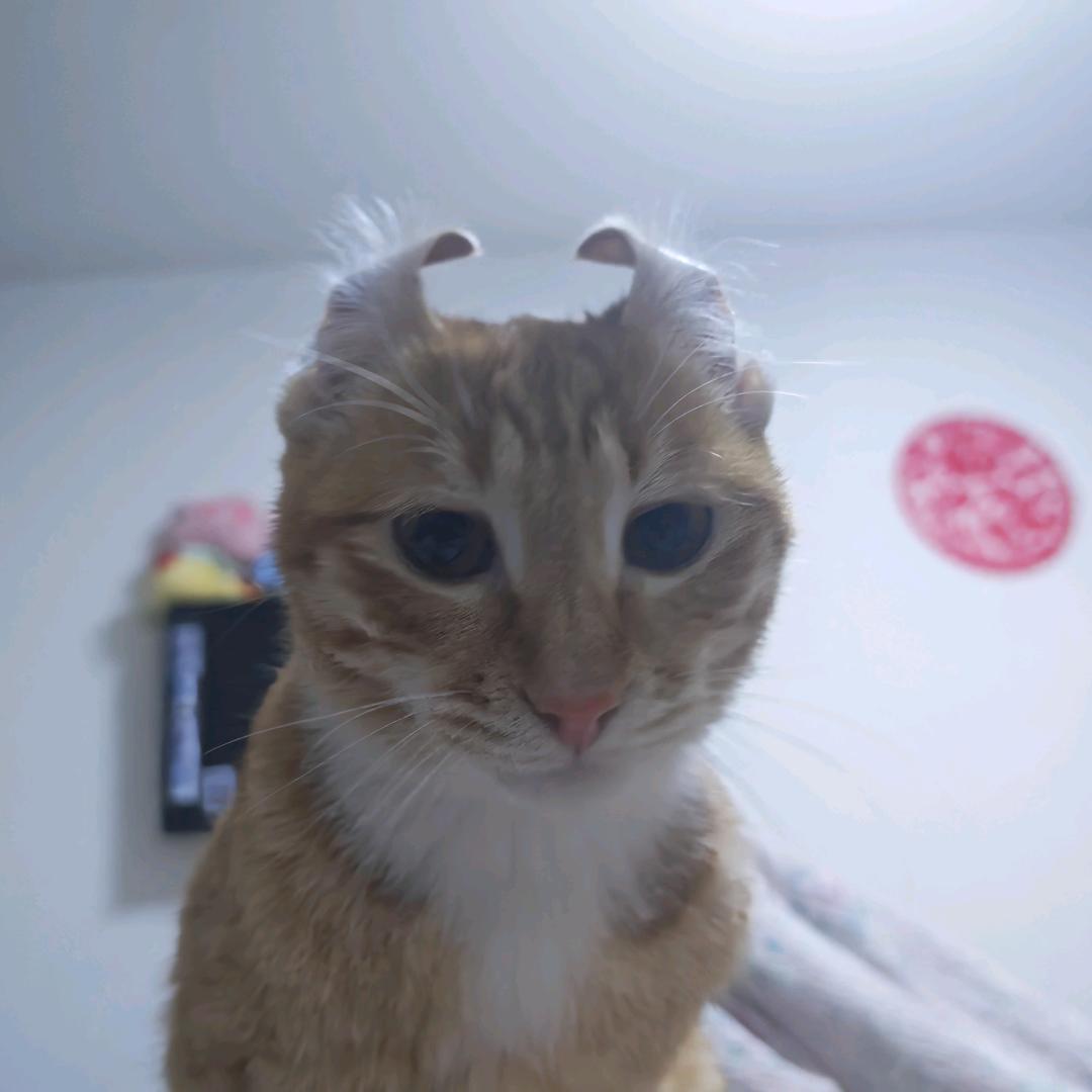 🌈🌈🌈🌈周兆伟是猪