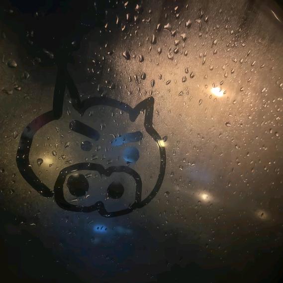 拾光集