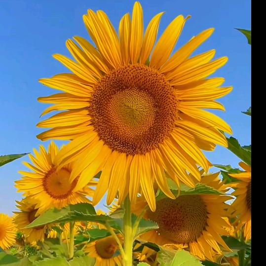 最美的遇见🩷🩷