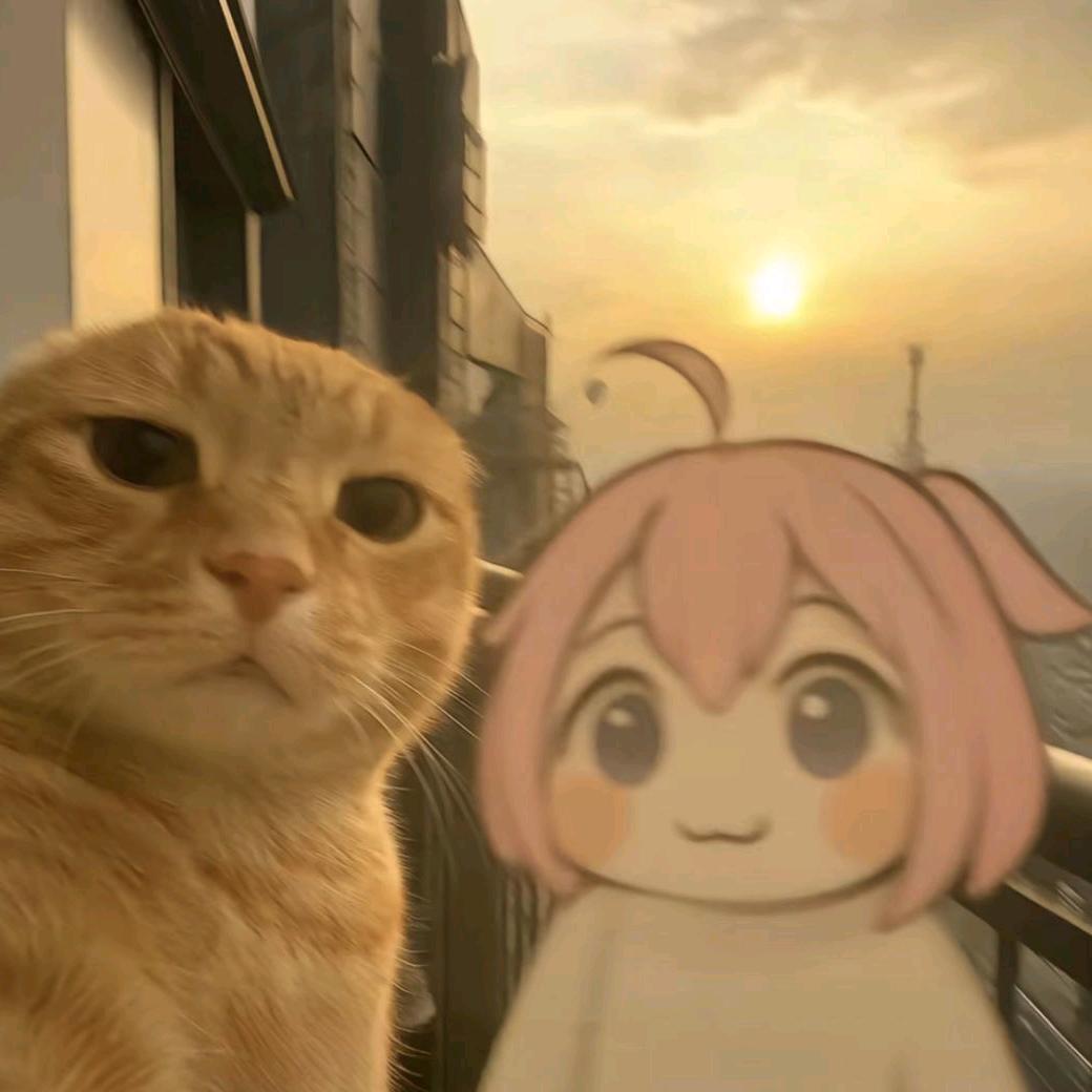 钧泽