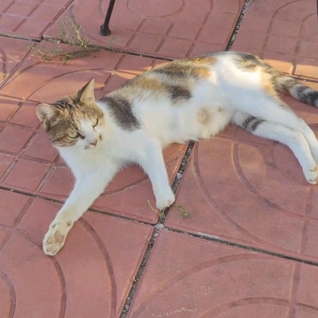 幸福的味道