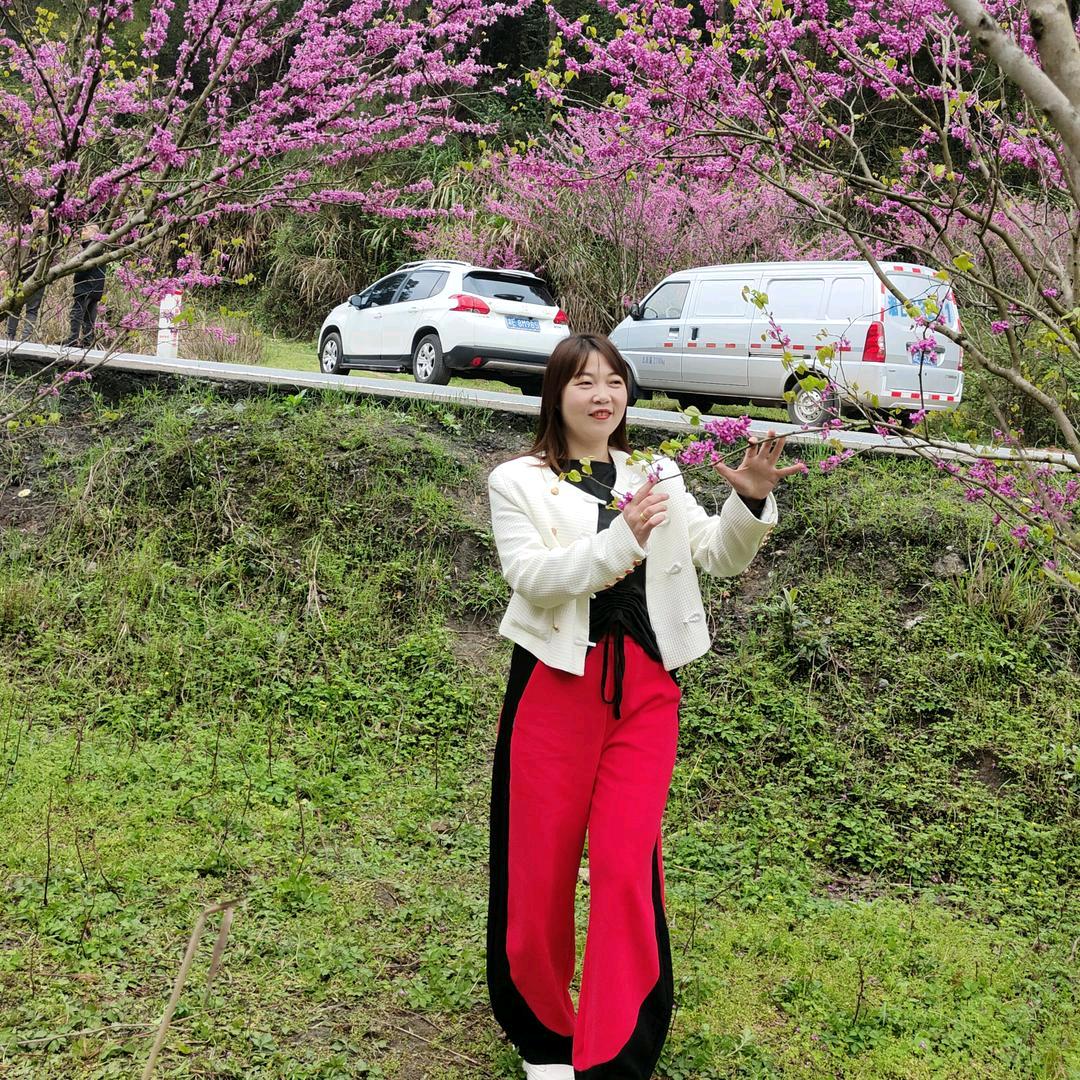 重生🦊
