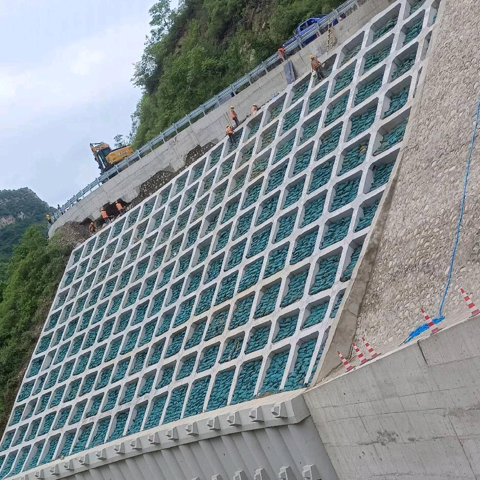 ꒰执ঌ໒恋꒱