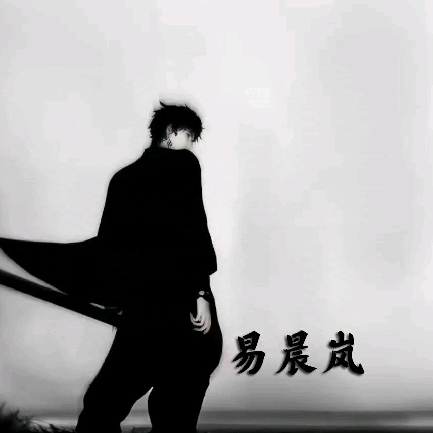 易晨岚动漫玩具